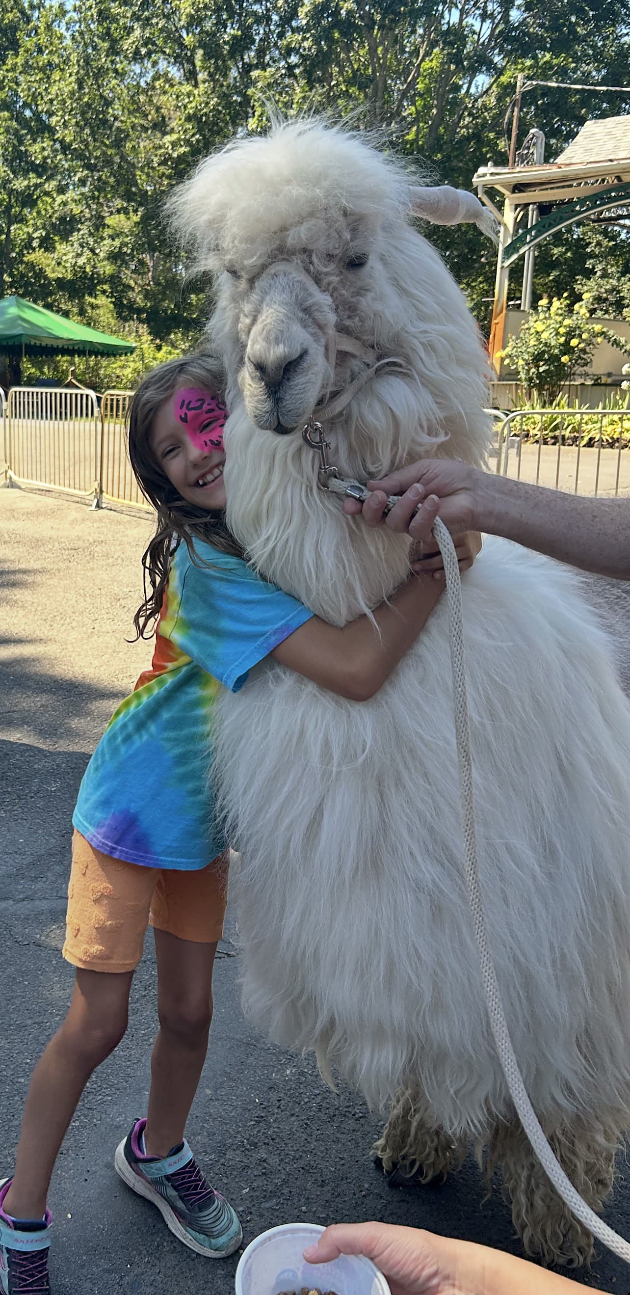 A girl hugging a llama at Oaks Park Day